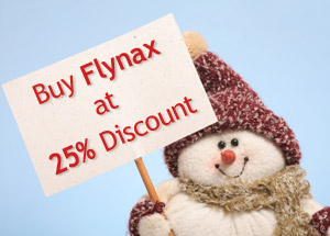 flynax-xmas-new-year-special-offer